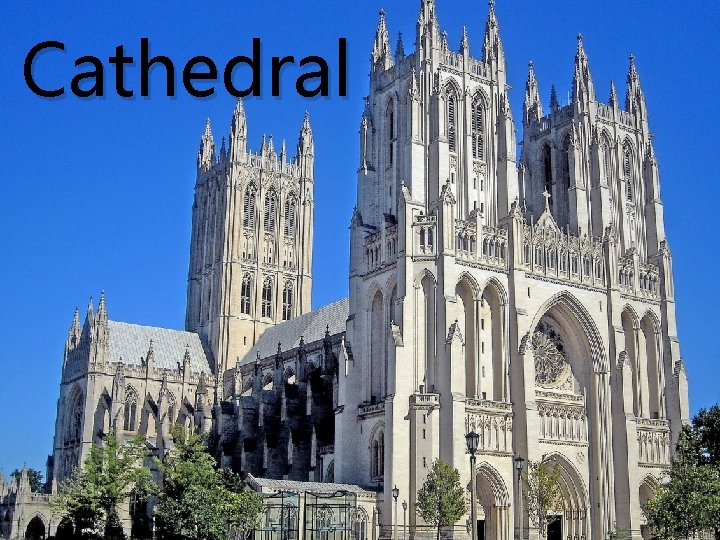 Cathedral 