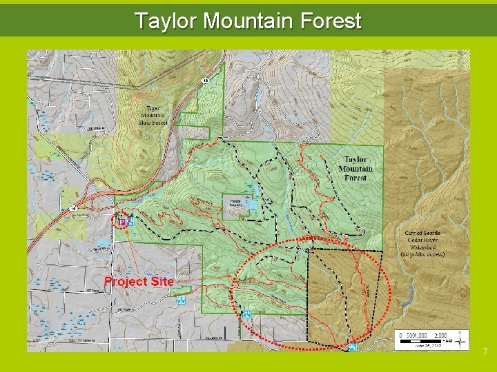 Taylor Mountain Forest 7 