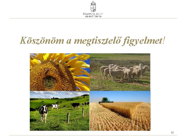 Köszönöm a megtisztelő figyelmet! 38 