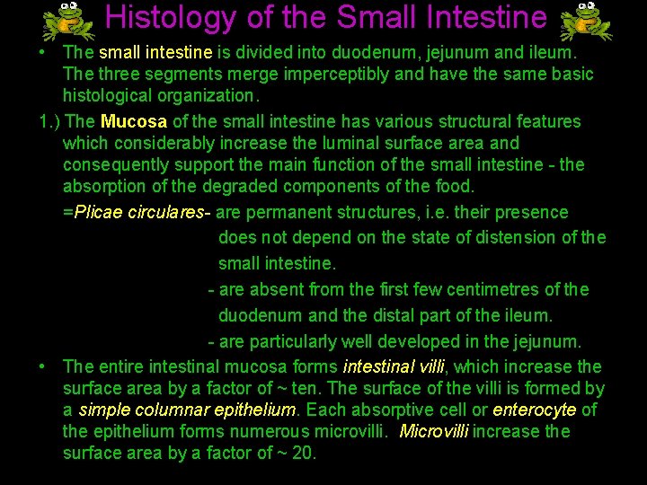 Histology of the Small Intestine • The small intestine is divided into duodenum, jejunum