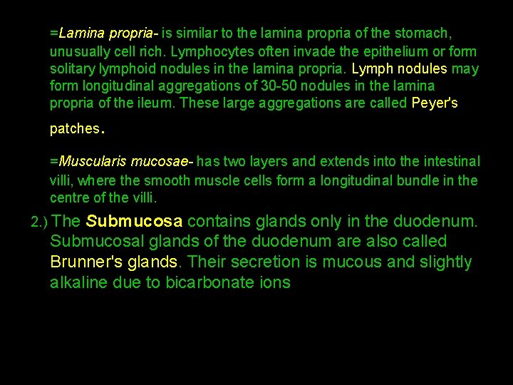 =Lamina propria- is similar to the lamina propria of the stomach, unusually cell rich.
