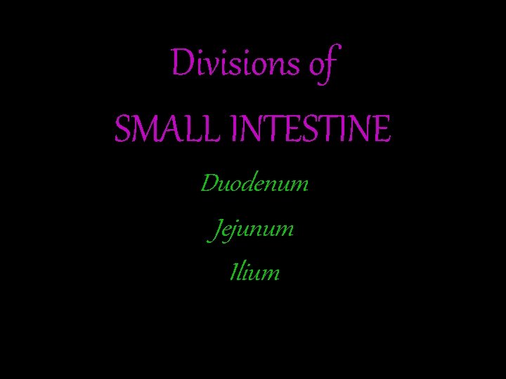 Divisions of SMALL INTESTINE Duodenum Jejunum Ilium 
