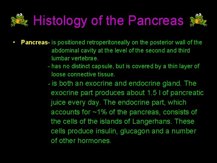 Histology of the Pancreas • Pancreas- is positioned retroperitoneally on the posterior wall of