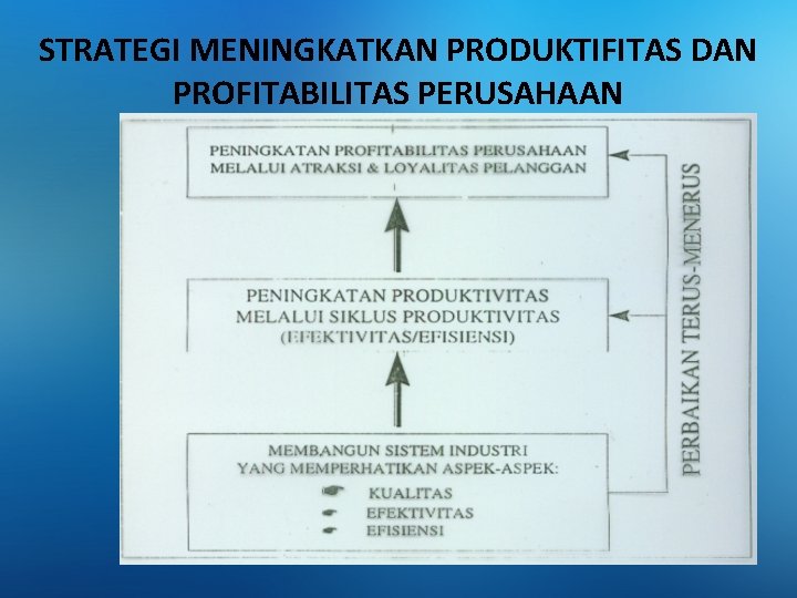 STRATEGI MENINGKATKAN PRODUKTIFITAS DAN PROFITABILITAS PERUSAHAAN 