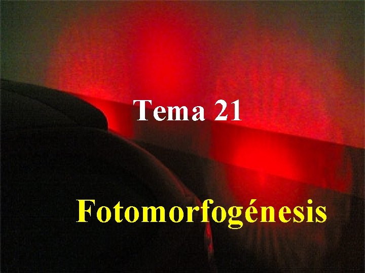 Tema 21 Fotomorfogénesis 