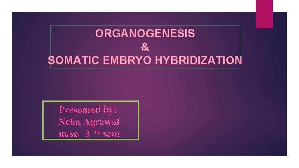 ORGANOGENESIS & SOMATIC EMBRYO HYBRIDIZATION Presented by: Neha Agrawal m. sc. 3 rd sem