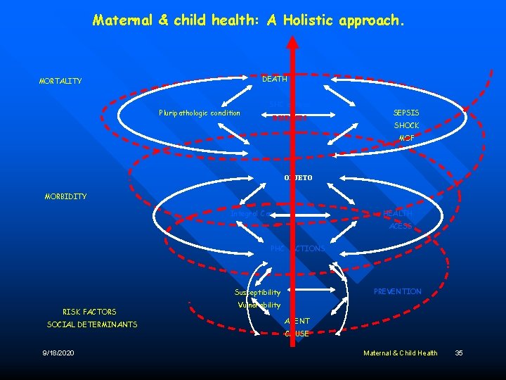 Maternal & child health: A Holistic approach. DEATH Survival MORTALITY Pluripathologic condition SHC actions