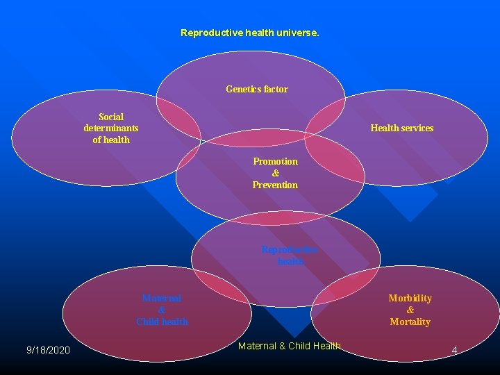 Reproductive health universe. Genetics factor Social determinants of health Health services Promotion & Prevention