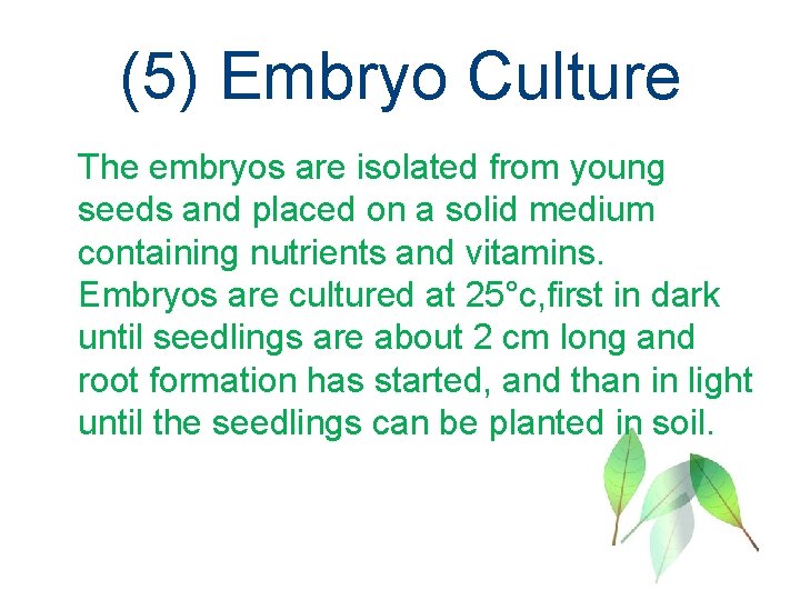 (5) Embryo Culture The embryos are isolated from young seeds and placed on a
