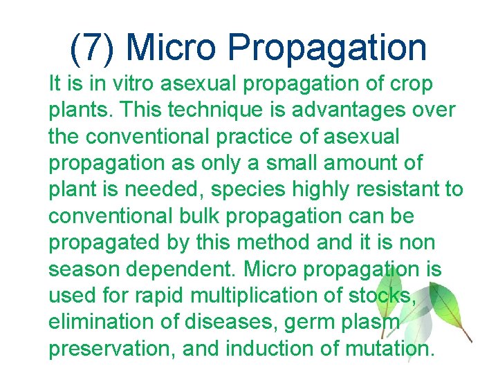 (7) Micro Propagation It is in vitro asexual propagation of crop plants. This technique