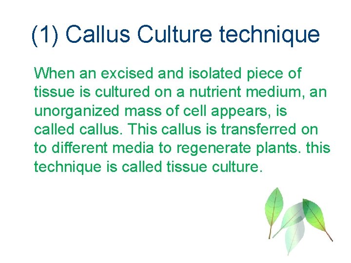 (1) Callus Culture technique When an excised and isolated piece of tissue is cultured