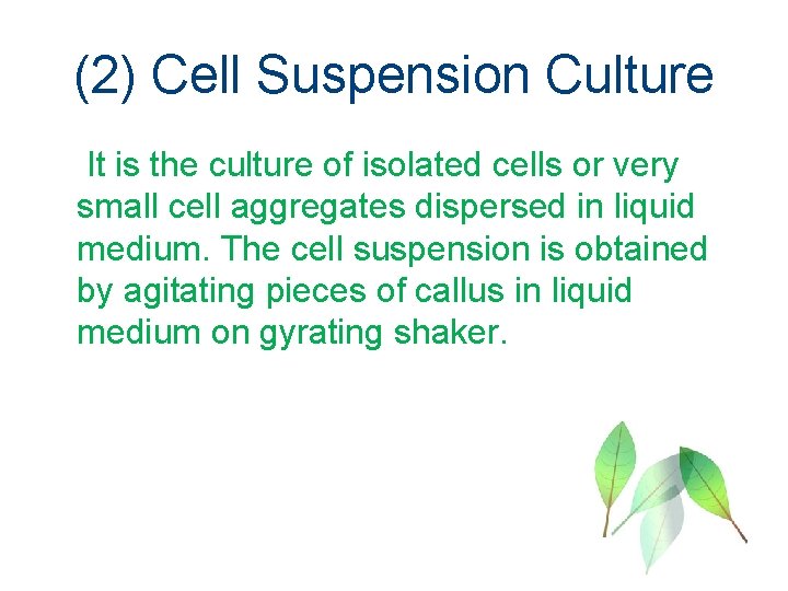 (2) Cell Suspension Culture It is the culture of isolated cells or very small