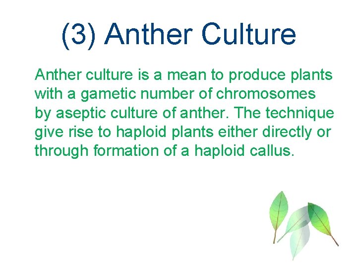 (3) Anther Culture Anther culture is a mean to produce plants with a gametic