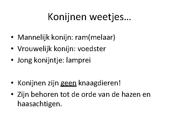 Konijnen weetjes… • Mannelijk konijn: ram(melaar) • Vrouwelijk konijn: voedster • Jong konijntje: lamprei