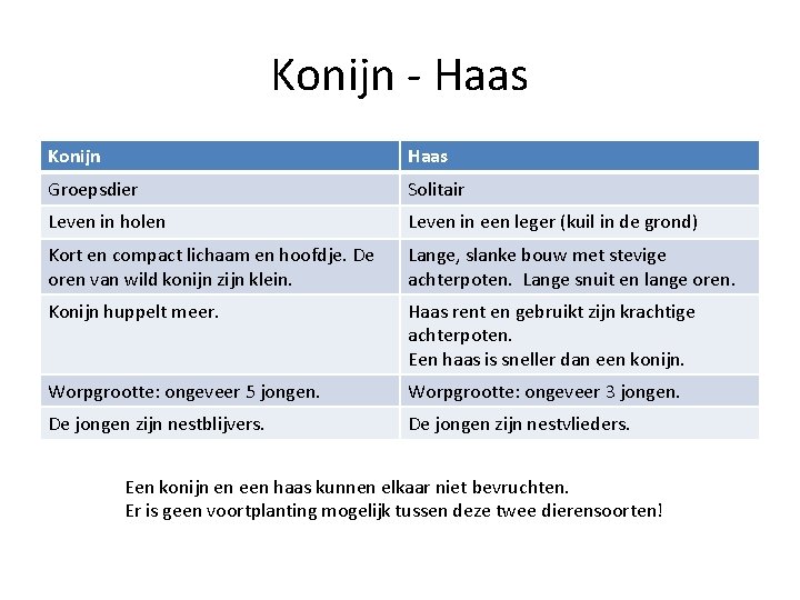 Konijn - Haas Konijn Haas Groepsdier Solitair Leven in holen Leven in een leger