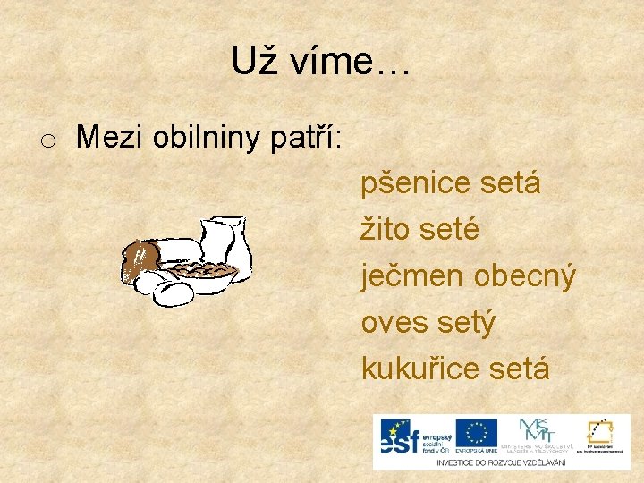 Už víme… o Mezi obilniny patří: pšenice setá žito seté ječmen obecný oves setý