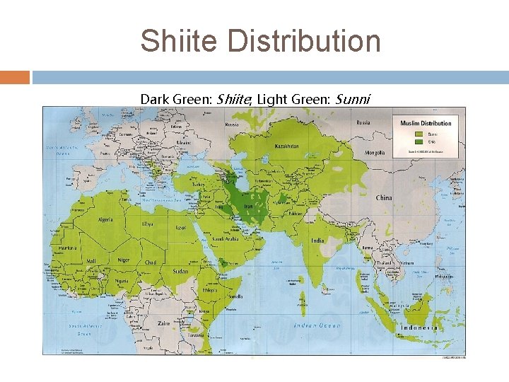 Shiite Distribution Dark Green: Shiite; Light Green: Sunni 