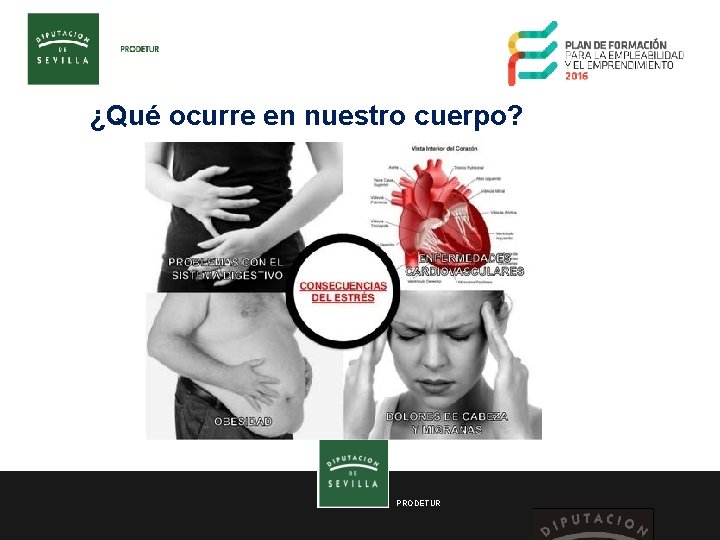 ¿Qué ocurre en nuestro cuerpo? PRODETUR 