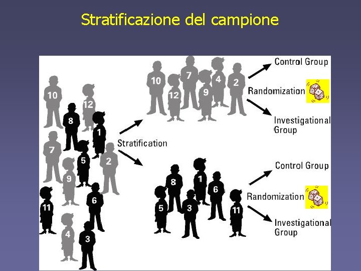 Stratificazione del campione 