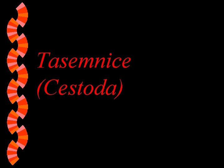 Tasemnice (Cestoda) Tasemnice (Cestoda)