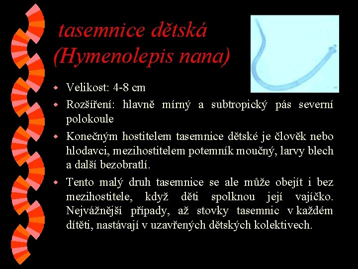 tasemnice dětská (Hymenolepis nana) Velikost: 4 -8 cm w Rozšíření: hlavně mírný a subtropický tasemnice dětská (Hymenolepis nana) Velikost: 4 -8 cm w Rozšíření: hlavně mírný a subtropický