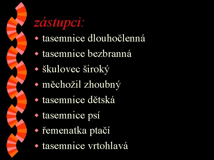 zástupci: tasemnice dlouhočlenná w tasemnice bezbranná w škulovec široký w měchožil zhoubný w tasemnice zástupci: tasemnice dlouhočlenná w tasemnice bezbranná w škulovec široký w měchožil zhoubný w tasemnice