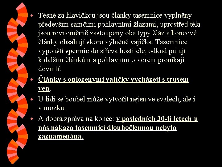 Těsně za hlavičkou jsou články tasemnice vyplněny především samčími pohlavními žlázami, uprostřed těla jsou Těsně za hlavičkou jsou články tasemnice vyplněny především samčími pohlavními žlázami, uprostřed těla jsou