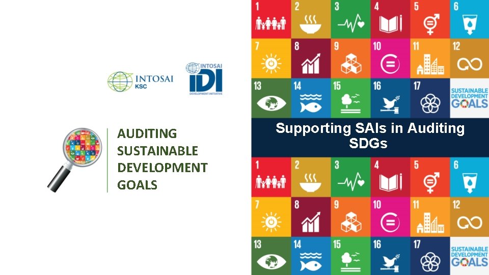 AUDITING SUSTAINABLE DEVELOPMENT GOALS Supporting SAIs in Auditing SDGs 