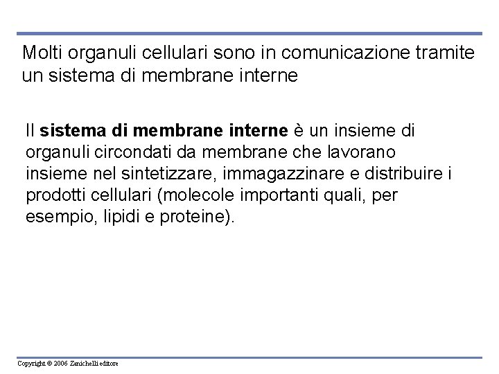 Molti organuli cellulari sono in comunicazione tramite un sistema di membrane interne Il sistema Molti organuli cellulari sono in comunicazione tramite un sistema di membrane interne Il sistema