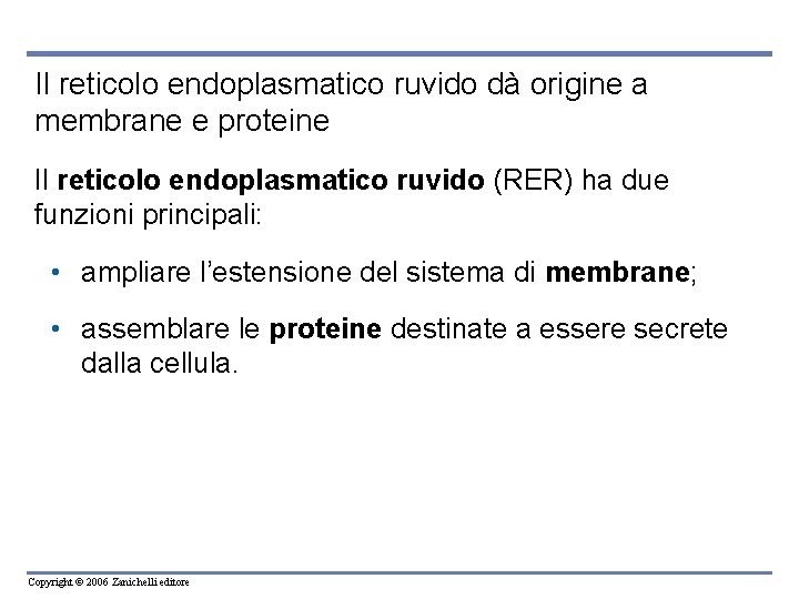 Il reticolo endoplasmatico ruvido dà origine a membrane e proteine Il reticolo endoplasmatico ruvido Il reticolo endoplasmatico ruvido dà origine a membrane e proteine Il reticolo endoplasmatico ruvido