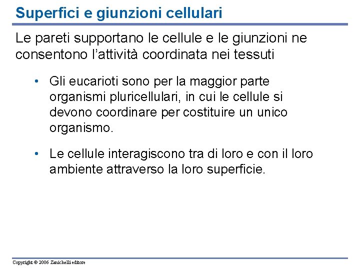 Superfici e giunzioni cellulari Le pareti supportano le cellule e le giunzioni ne consentono Superfici e giunzioni cellulari Le pareti supportano le cellule e le giunzioni ne consentono