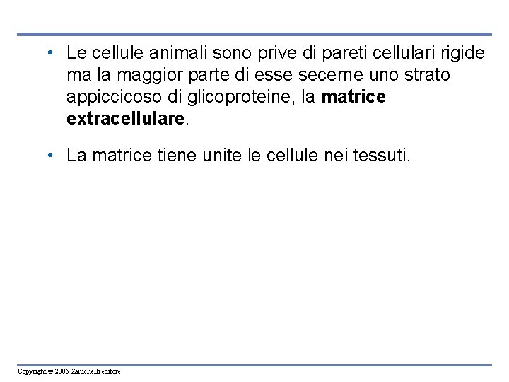 • Le cellule animali sono prive di pareti cellulari rigide ma la maggior • Le cellule animali sono prive di pareti cellulari rigide ma la maggior