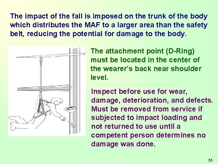 The impact of the fall is imposed on the trunk of the body which