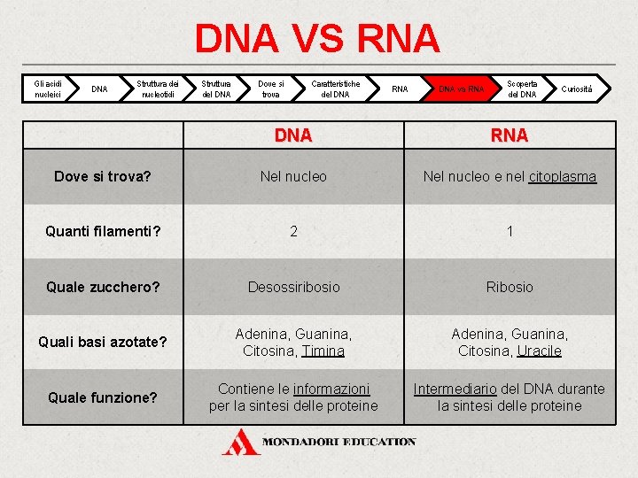 DNA VS RNA Gli acidi nucleici DNA Struttura dei nucleotidi Struttura del DNA Dove