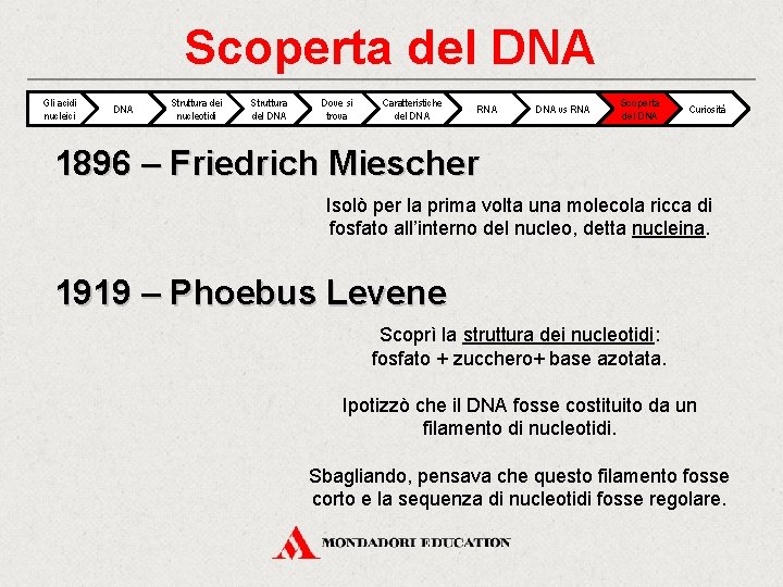 Scoperta del DNA Gli acidi nucleici DNA Struttura dei nucleotidi Struttura del DNA Dove