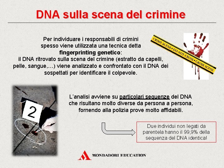 DNA sulla scena del crimine Per individuare i responsabili di crimini spesso viene utilizzata