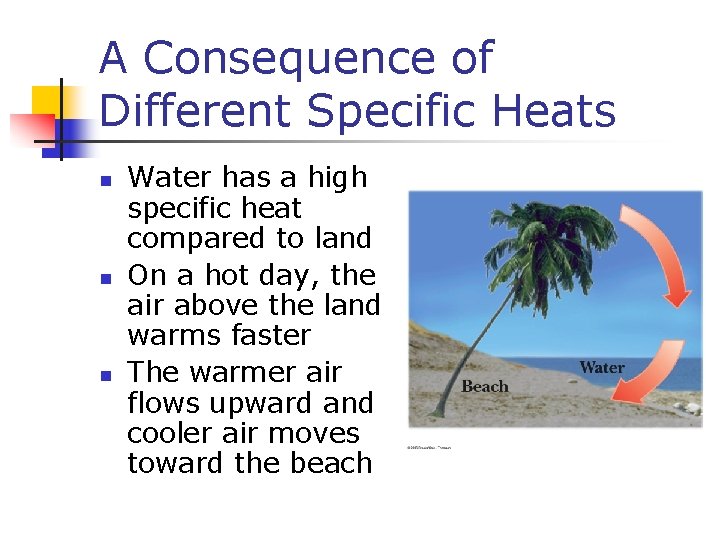 A Consequence of Different Specific Heats n n n Water has a high specific