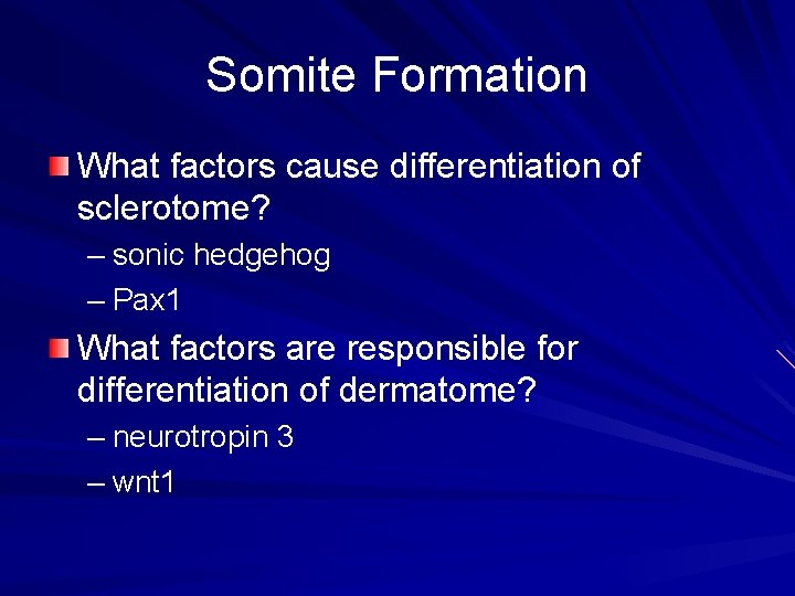 Somite Formation What factors cause differentiation of sclerotome? – sonic hedgehog – Pax 1 Somite Formation What factors cause differentiation of sclerotome? – sonic hedgehog – Pax 1