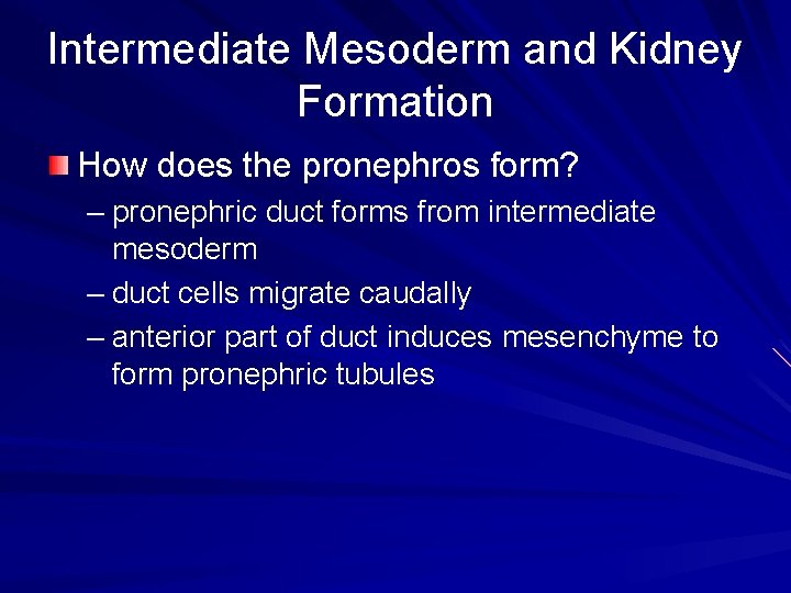 Intermediate Mesoderm and Kidney Formation How does the pronephros form? – pronephric duct forms Intermediate Mesoderm and Kidney Formation How does the pronephros form? – pronephric duct forms