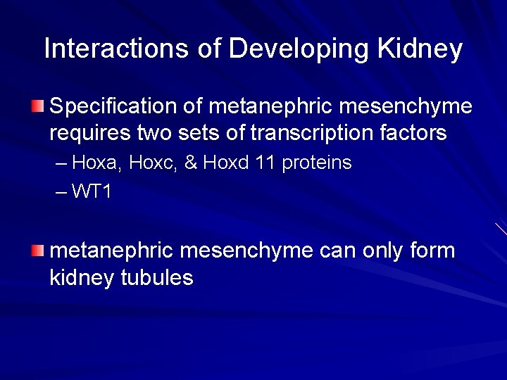 Interactions of Developing Kidney Specification of metanephric mesenchyme requires two sets of transcription factors Interactions of Developing Kidney Specification of metanephric mesenchyme requires two sets of transcription factors