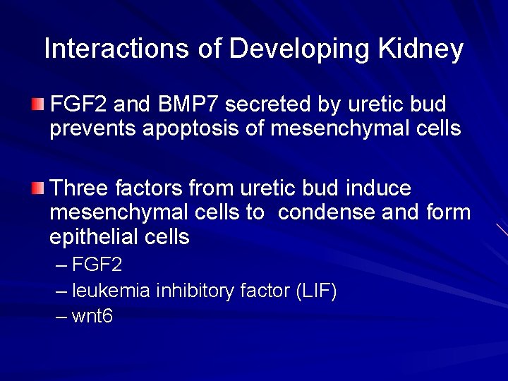 Interactions of Developing Kidney FGF 2 and BMP 7 secreted by uretic bud prevents Interactions of Developing Kidney FGF 2 and BMP 7 secreted by uretic bud prevents