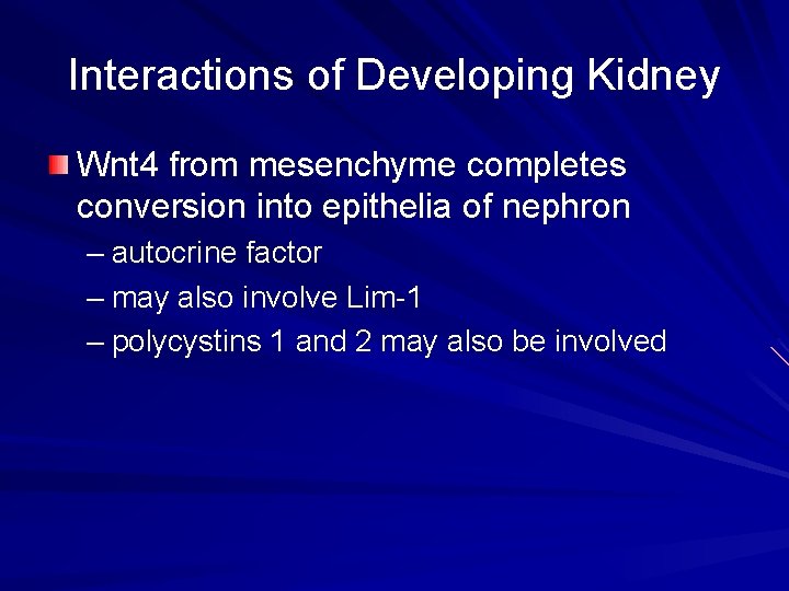 Interactions of Developing Kidney Wnt 4 from mesenchyme completes conversion into epithelia of nephron Interactions of Developing Kidney Wnt 4 from mesenchyme completes conversion into epithelia of nephron