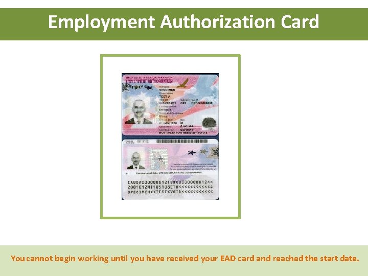 Employment Authorization Card You cannot begin working until you have received your EAD card Employment Authorization Card You cannot begin working until you have received your EAD card