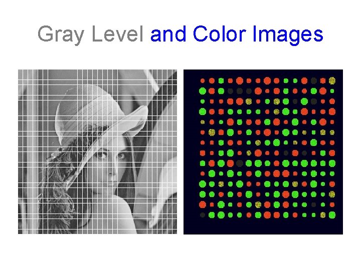 Gray Level and Color Images 