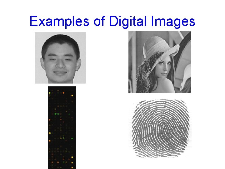 Examples of Digital Images 