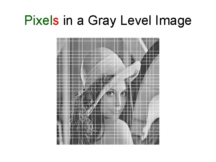 Pixels in a Gray Level Image 