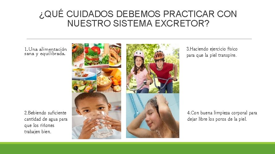 ¿QUÉ CUIDADOS DEBEMOS PRACTICAR CON NUESTRO SISTEMA EXCRETOR? 1. Una alimentación sana y equilibrada.