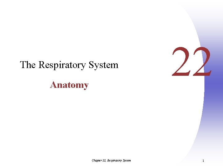 The Respiratory System Anatomy Chapter 22, Respiratory System 22 1 