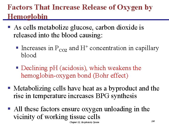 Factors That Increase Release of Oxygen by Hemoglobin § As cells metabolize glucose, carbon