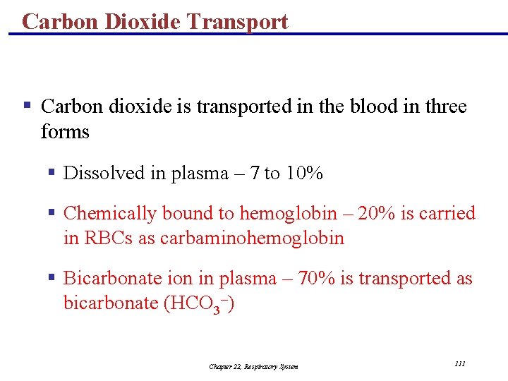 Carbon Dioxide Transport § Carbon dioxide is transported in the blood in three forms